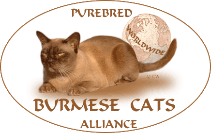 logo_burmesen_cats1
